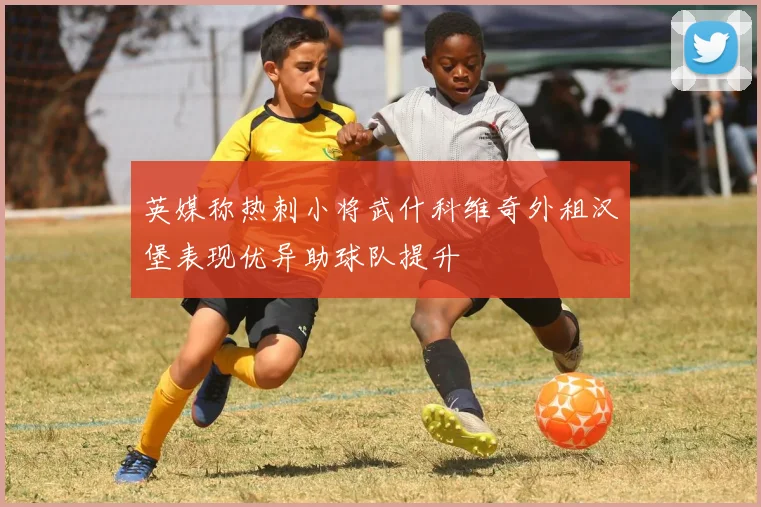 英媒称热刺小将武什科维奇外租汉堡表现优异助球队提升