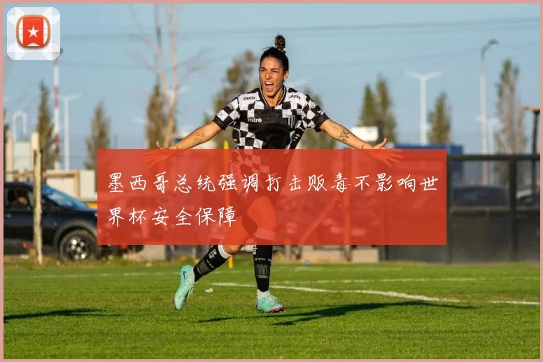 墨西哥总统强调打击贩毒不影响世界杯安全保障