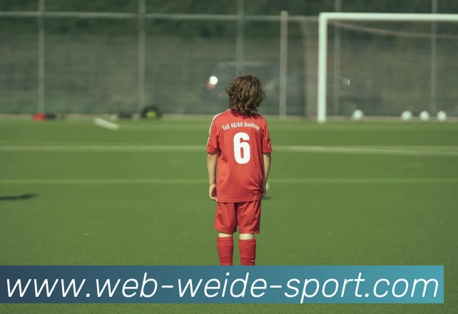 伟德体育APP 封面图